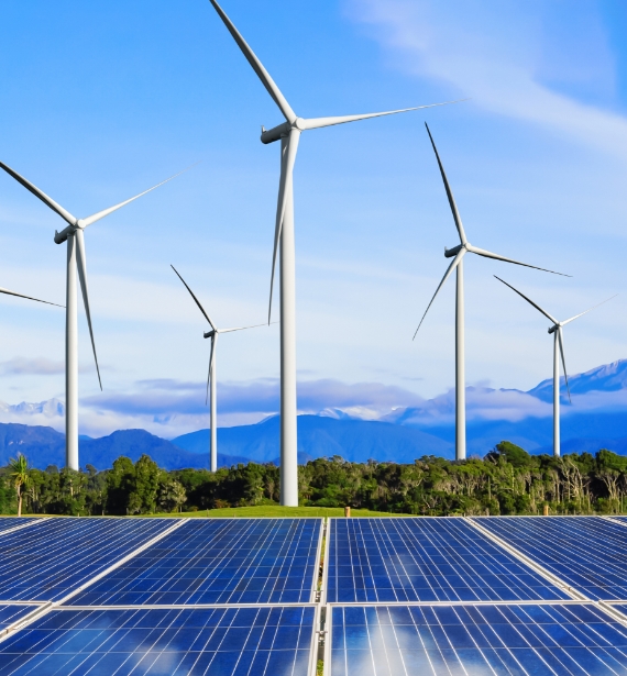 A group of wind turbines and solar panels.